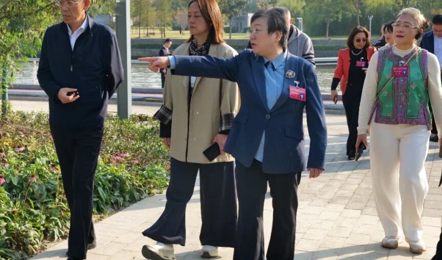 聚焦打造生态宜居新空间、提升城市功能品质，区政协开展年末视察