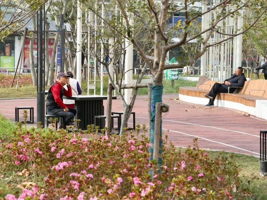 景明园建成开放，“嘉”门口的绿色空间换新