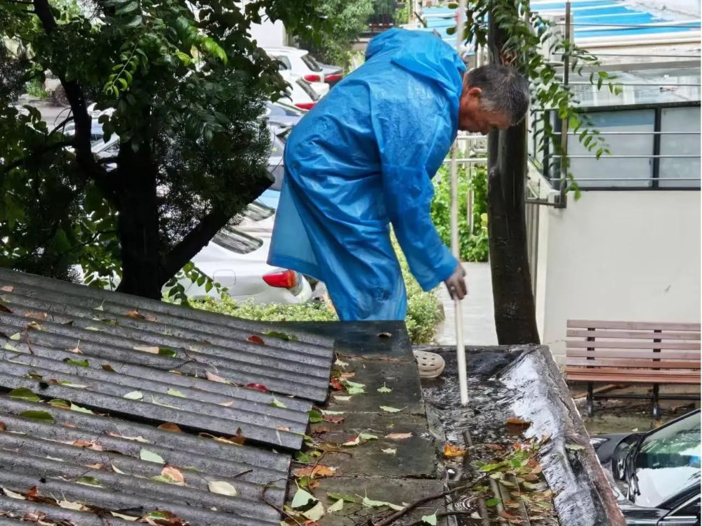 真新街道多方联动筑牢防汛防台安全线