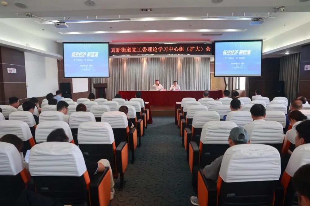 聚焦低空经济新兴产业,真新街道举行党工委理论学习中心组(扩大)会